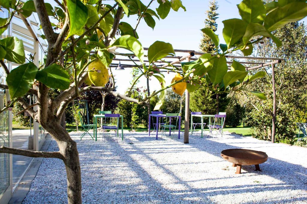 Agriturismo Humile Chianciano Terme Exterior photo